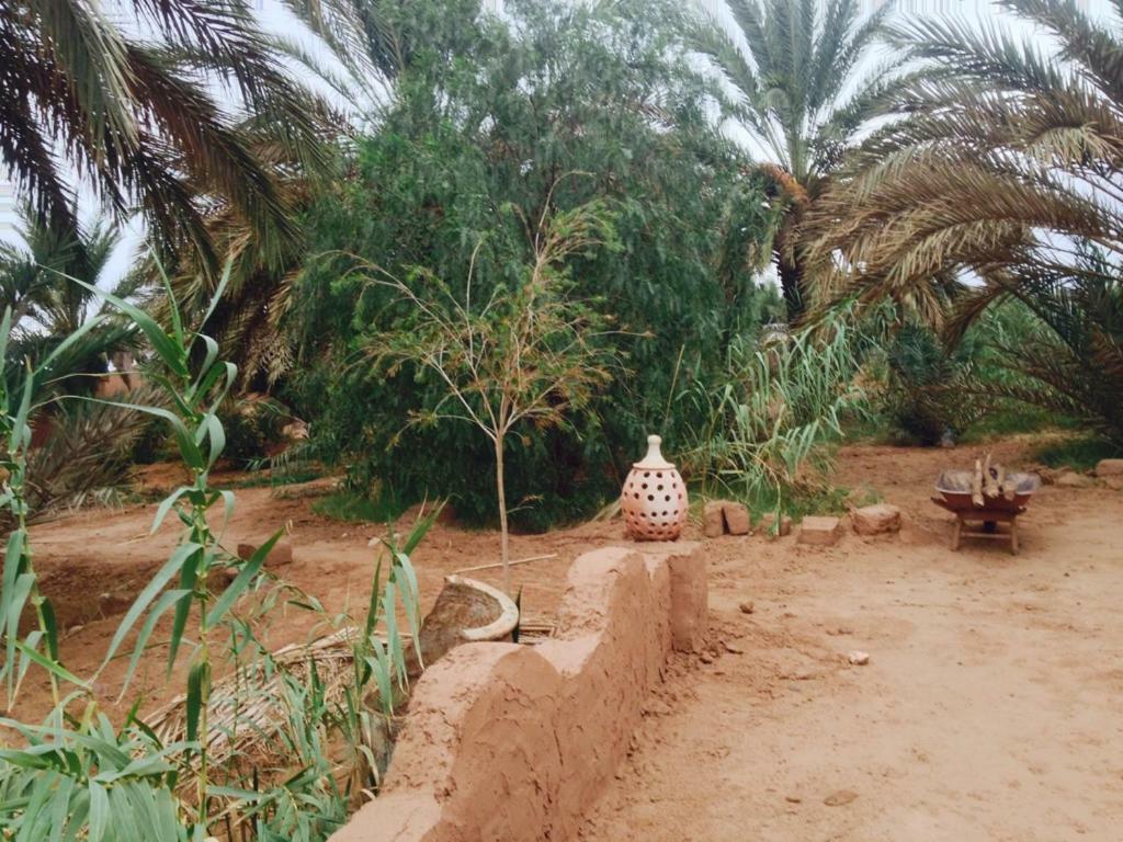 ホテル Chez Madani マハミド エクステリア 写真